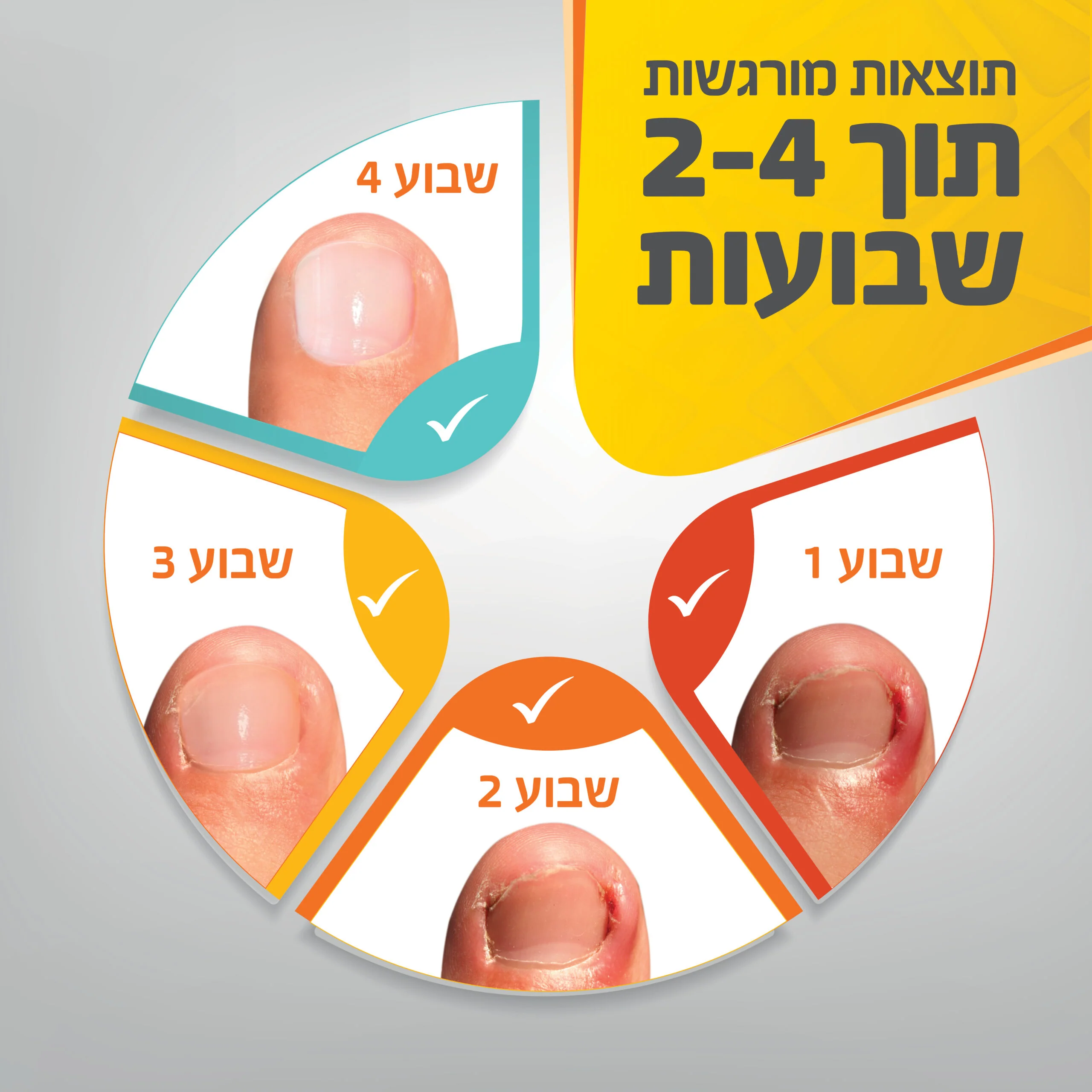 תמונה ממוזערת 5