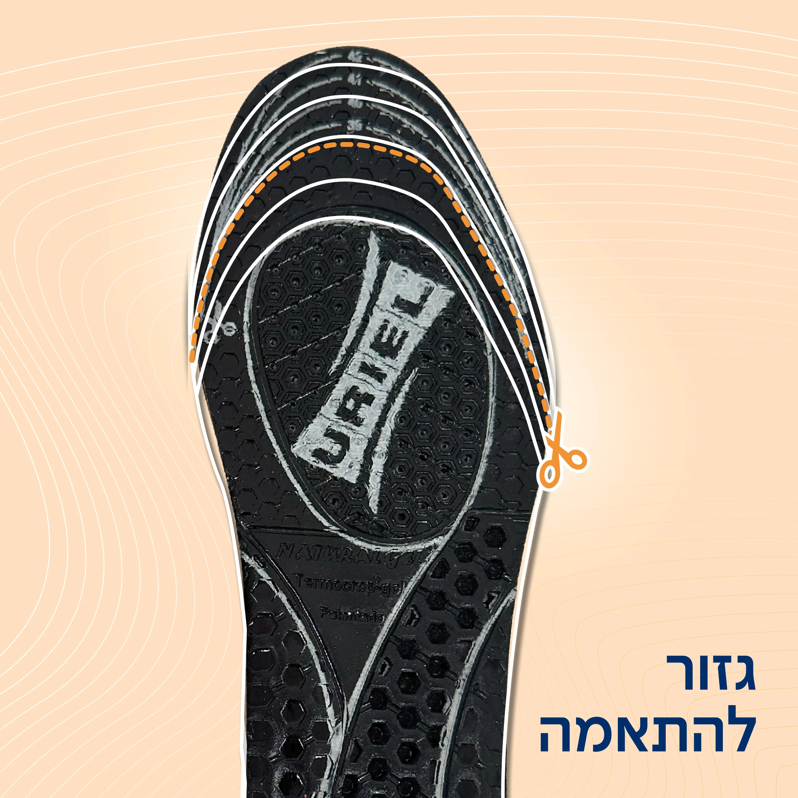 תמונה ממוזערת 5