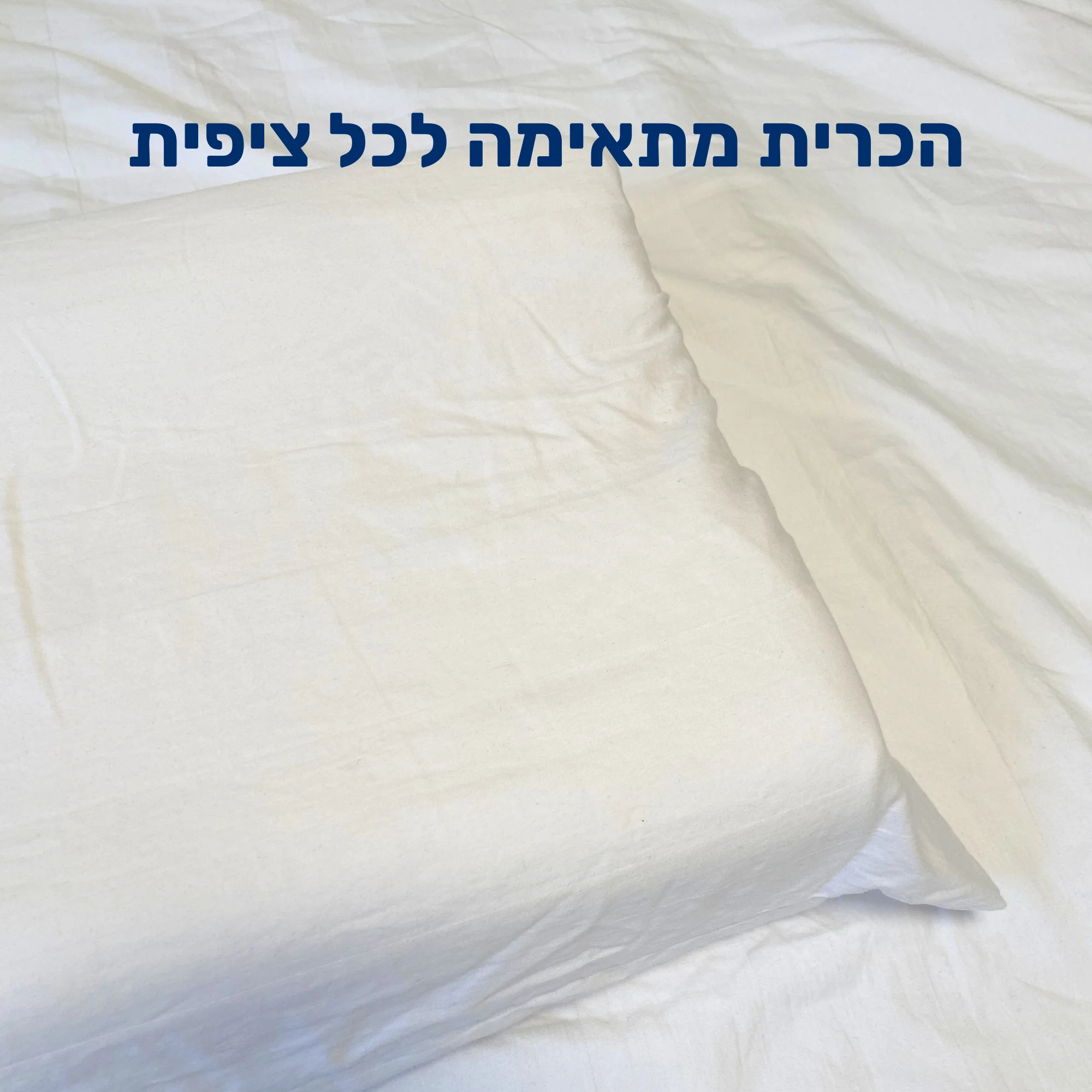 תמונה ממוזערת 10